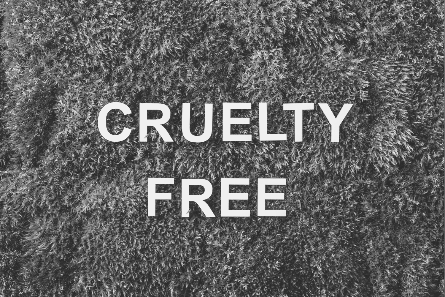 cruelty-free skincare brands, cruelty-free cosmetics companies, cruelty-free brands, vegan skincare, cruelty-free skin products, vegan cosmetics brand, Tierra by Maria